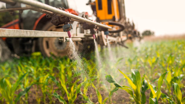Best Pest Removal Services  in Stanley, ND